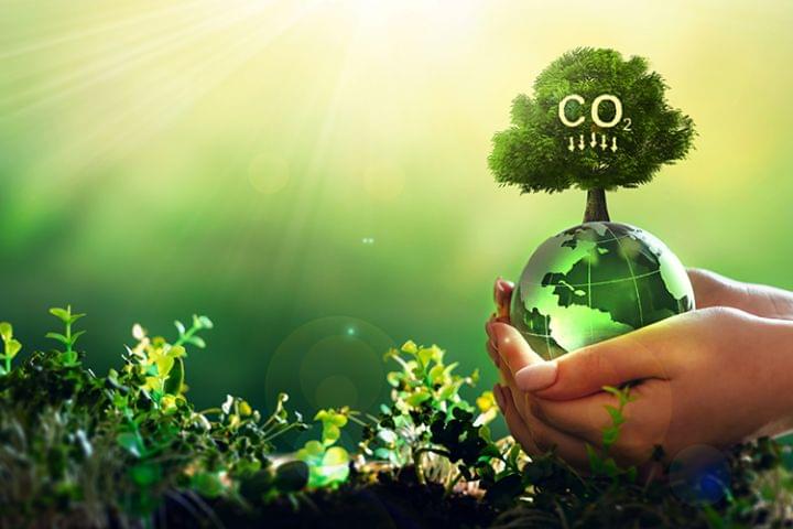 Carbon neutrality